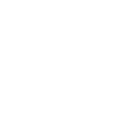 Lightbulb icon