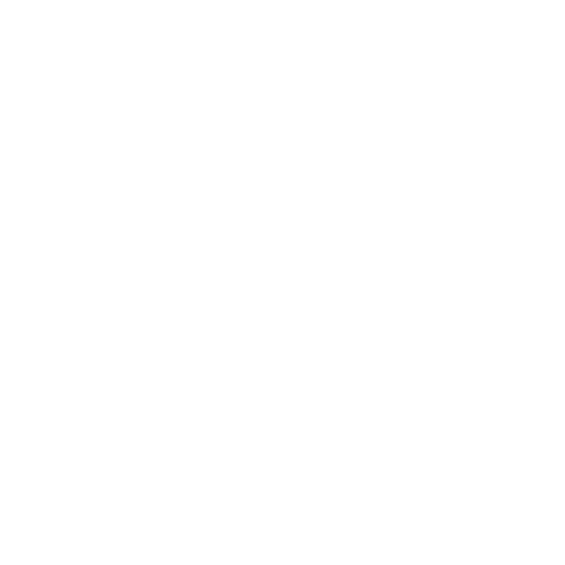 Shield icon